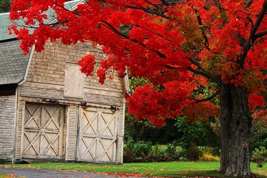 Autumn Wallpapers Desktop Wallpapers