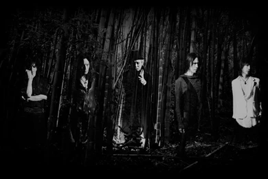 Fantastic Dir En Grey Wallpapers By Akumu No Yume Dkvfmu