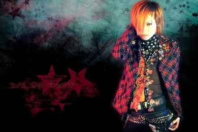 DeviantArt: More Like Dir En Grey  THE FINAL  By XxcinnamonBitsxx