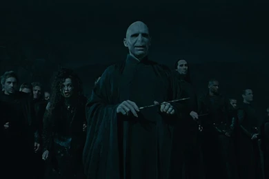 Lord Voldemort And Followers From Harry Potter And The Deathly ...