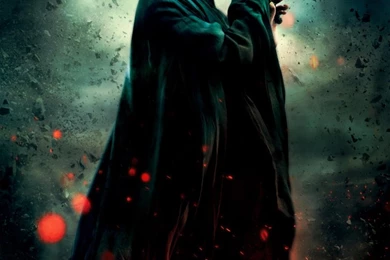 Approved] [Bio] Lord Voldemort