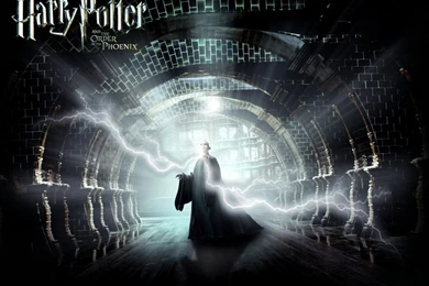 Lord Voldemort   Harry Potter Wallpapers (6849037)   Fanpop