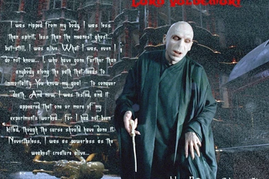 Voldemort Quotes. QuotesGram