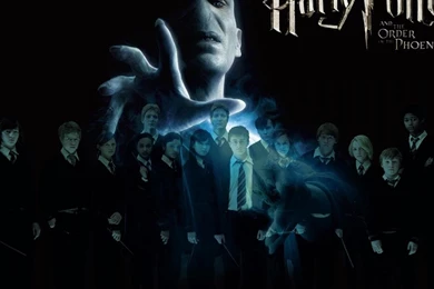 Harry Potter Voldemort Hd Wallpapers   (