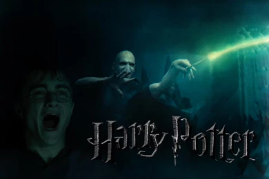 Harry Potter And Lord Voldemort   Harry Potter And Lord Voldemort ...