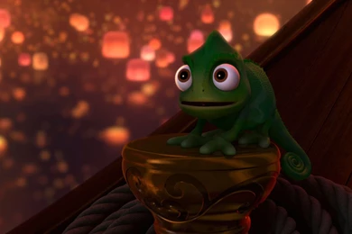 Pascal In Disney's Tangled Desktop Wallpapers