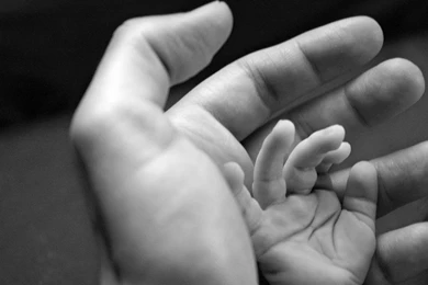 Hd Wallpapers The Hand Of Father And Child Black And White Photo ...