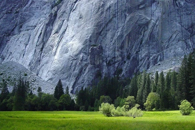 SOLID ROCK WALLPAPER   (