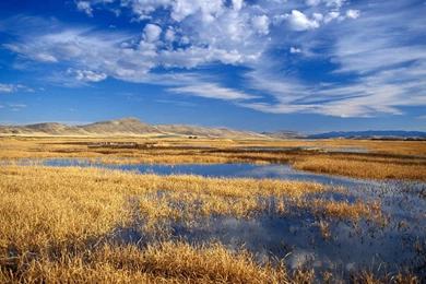 Desktop Wallpapers » Natural Backgrounds » Lower Klamath Lake ...