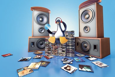 Penguin DJ Wallpapers Wallpapers   HD Wallpapers 78540