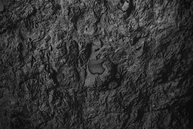 Wall Wallpapers Collection (35+)