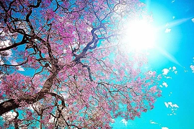 Screensavers Wallpapers 3D Screensavers