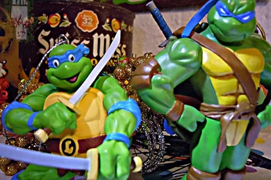 AMERICAN GREETINGS :: TEENAGE MUTANT NINJA TURTLES   "Leonardo ...
