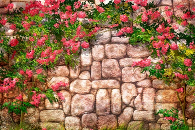 Wall Wallpapers Collection (35+)