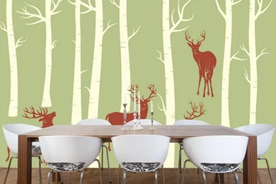 Birch Tree Wall Mural To Make Your Room Fresh   Wallpapers Mural Ideas