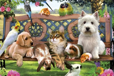 Friends Cats Birds Dogs Animals Rabbit Hd Wallpapers