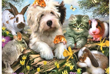 Hd Dog Images, Download Dog Wallpapers, Free Images, Pets, Dog ...