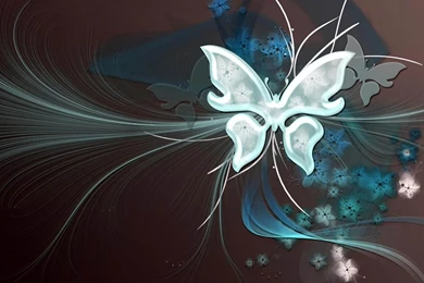 Butterfly Design Wallpapers   Wallpapers High Definition