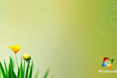 Download Hd Wallpapers Windows 8 Live Wallpapers For PC ...