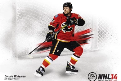 Custom NHL 14 Covers