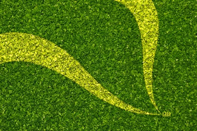 Geoff Liang: Flash Design