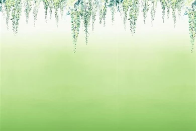 Summer Palace   Grass Wallpapers