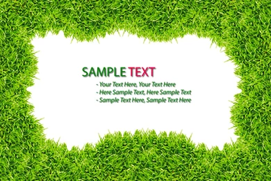 Grass Wallpapers Designs