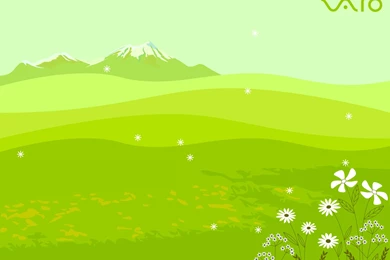 Sony VAIO HD Post In Pixel Of 1600×1200, Green Plants And Grass ...