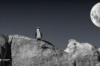 January Desktop Wallpapers HD Picture