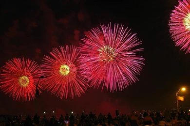 Happy New Year Celebrations Wallpapers