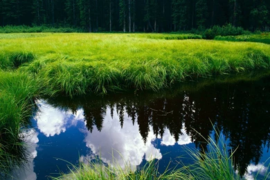 Nature Wallpapers Archives   HD Widescreen Wallpapers