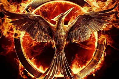 Mockingjay The Hunger Games Wallpapers HD