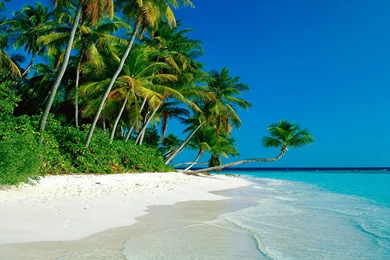 Page 96 › High Quality Wallpapers Collections For Desktop And ...