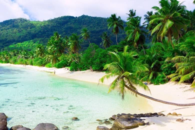 Dota 2 Wallpapers HD Picture