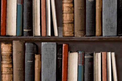 Grandeco Ideco Home Library Wallpapers   POB 33 01 6   Multi ...