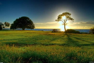 Sunny Day Wallpapers