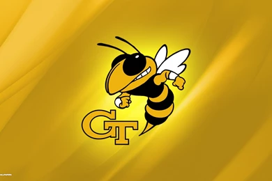 Georgia Tech Yellow Jackets Wallpapers 1/1