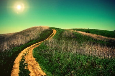 Sunny Day Wallpapers