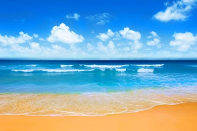1334 Beach HD Wallpapers