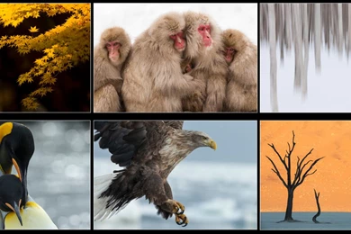 Claim Your Free High Resolution Desktop Wallpaper! • Martin Bailey ...