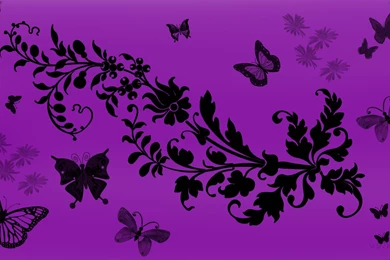 Purple Butterfly Wallpapers Free HD 6984   HD Wallpapers Site