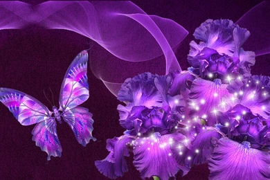 High Resolution Beauty Purple Butterfly Wallpapers Full Size ...