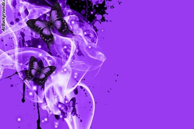 Butterflies!!! On Pinterest