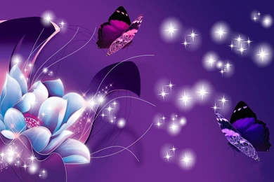 Purple Butterfly Wallpapers APK By FaInc Details
