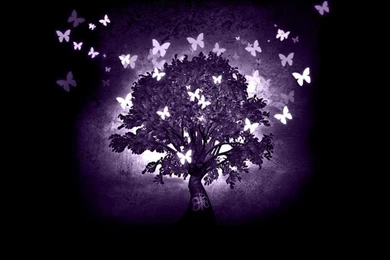 Wallpapers Purple Butterflies 1024x768