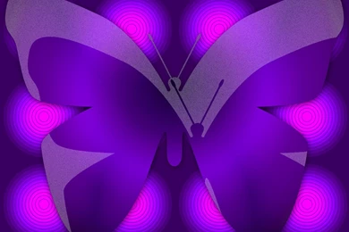 Purple Butterfly Shape On Circles