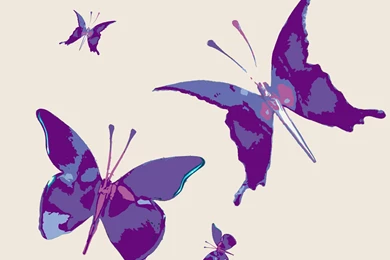 Paris Purple Butterfly Backgrounds