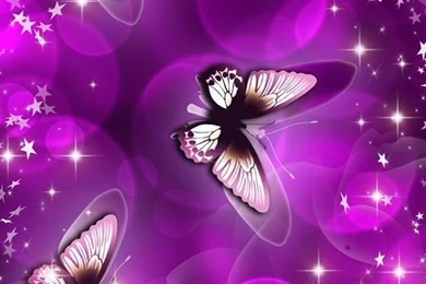 Shiny Butterfly Live Wallpapers   Android Apps On Google Play