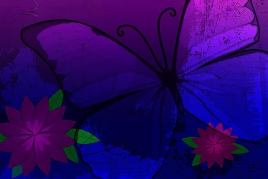 Purple Butterfly 1600x1200 Jpg   (