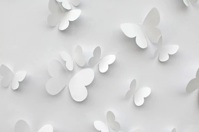 Feathers Grey Wallpapers